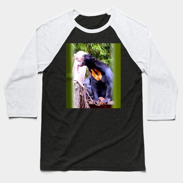 Sun Bear Baseball T-Shirt by Art of V. Cook